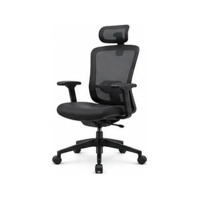 Ergonomic Mesh Office Chair - Graphite Finish white-background product packshot