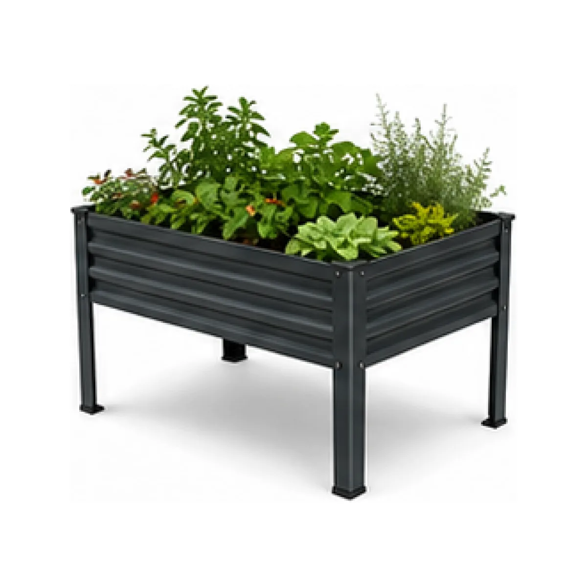 Raised Metal Garden Planter - Professional Finish white-background product packshot